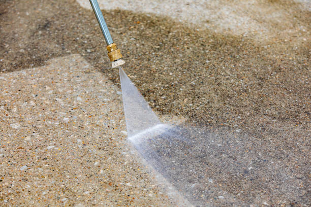 Best Driveway Pressure Washing  in Waupaca, WI