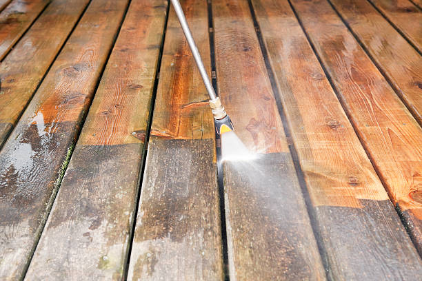 Animal Enclosure Cleaning in Waupaca, WI